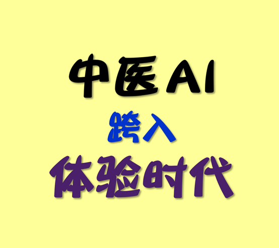 体验时代 / 中医AI系统